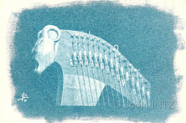 cyanotype harpe cecile.jpg